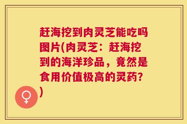 赶海挖到肉灵芝能吃吗图片(肉灵芝：赶海挖到的海洋珍品，竟然是食用价值极高的灵药？)