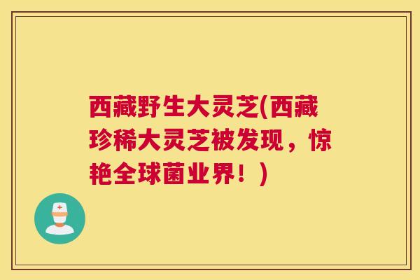 西藏野生大灵芝(西藏珍稀大灵芝被发现，惊艳全球菌业界！)
