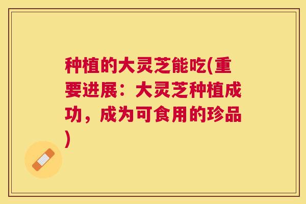种植的大灵芝能吃(重要进展:大灵芝种植成功,成为可食用的珍品) 种植的大灵芝能吃(重要进展:大灵芝种植成功,成为可食用的珍品)