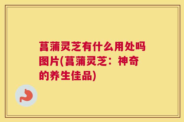 菖蒲灵芝有什么用处吗图片(菖蒲灵芝：神奇的养生佳品)