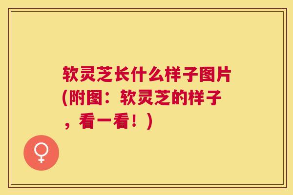 软灵芝长什么样子图片(附图:软灵芝的样子,看一看!) 软灵芝长什么样子图片(附图:软灵芝的样子,看一看!)