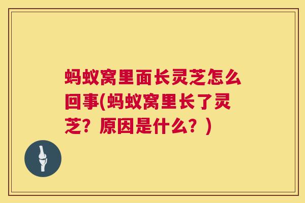 蚂蚁窝里面长灵芝怎么回事(蚂蚁窝里长了灵芝？原因是什么？)