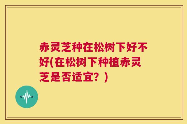 赤灵芝种在松树下好不好(在松树下种植赤灵芝是否适宜？)