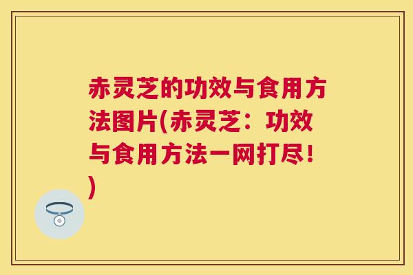 赤灵芝的功效与食用方法图片(赤灵芝：功效与食用方法一网打尽！)