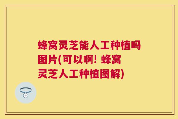 蜂窝灵芝能人工种植吗图片(可以啊! 蜂窝灵芝人工种植图解)