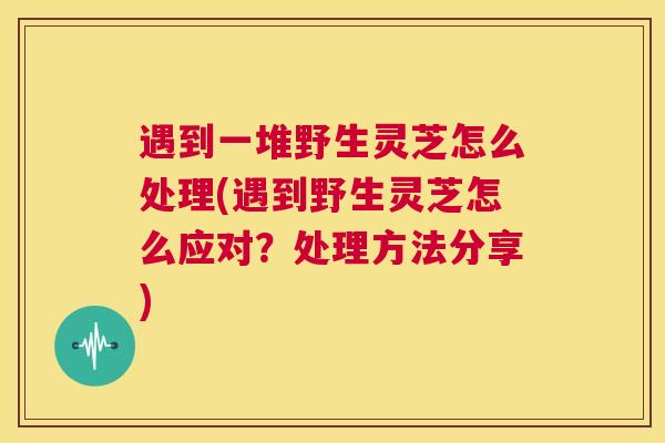 遇到一堆野生灵芝怎么处理(遇到野生灵芝怎么应对？处理方法分享)