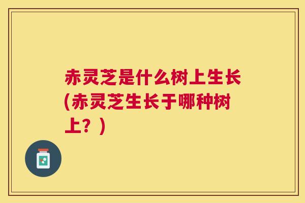 赤灵芝是什么树上生长(赤灵芝生长于哪种树上？)