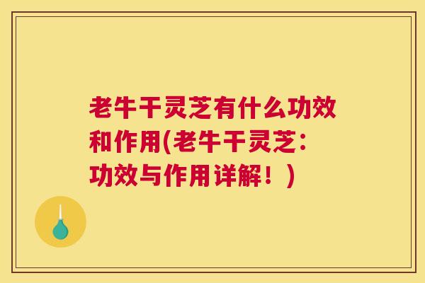 老牛干灵芝有什么功效和作用(老牛干灵芝：功效与作用详解！)