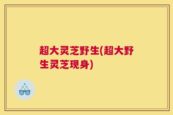 超大灵芝野生(超大野生灵芝现身) 超大灵芝野生(超大野生灵芝现身)