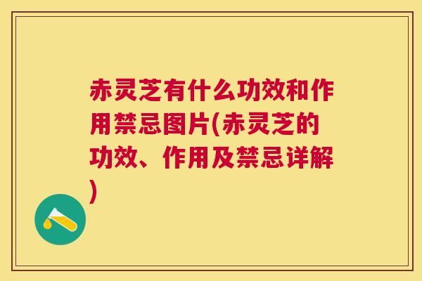 赤灵芝有什么功效和作用禁忌图片(赤灵芝的功效、作用及禁忌详解)