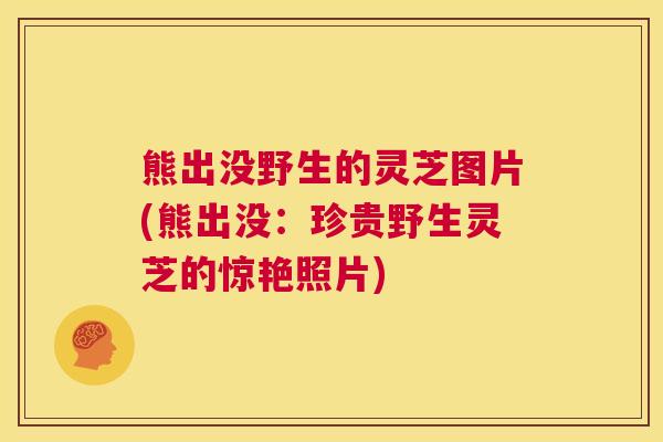 熊出没野生的灵芝图片(熊出没：珍贵野生灵芝的惊艳照片)