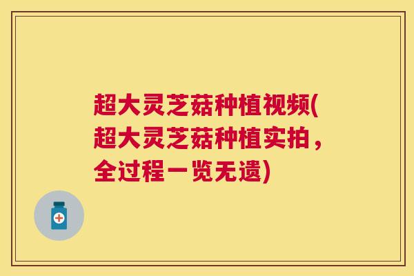 超大灵芝菇种植视频(超大灵芝菇种植实拍，全过程一览无遗)