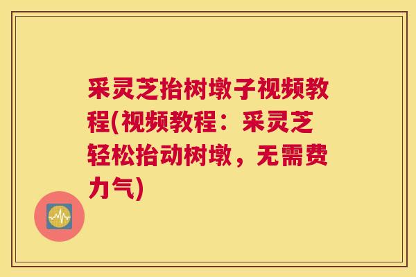 采灵芝抬树墩子视频教程(视频教程：采灵芝轻松抬动树墩，无需费力气)