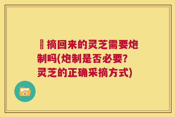 釆摘回来的灵芝需要炮制吗(炮制是否必要？灵芝的正确采摘方式)