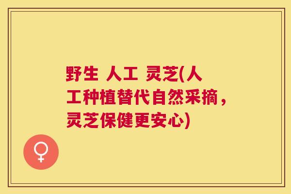 野生 人工 灵芝(人工种植替代自然采摘,灵芝保健更安心) 野生 人工 灵芝(人工种植替代自然采摘,灵芝保健更安心)