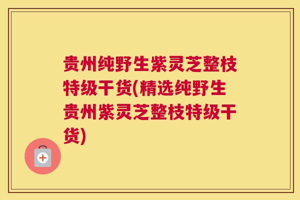 贵州纯野生紫灵芝整枝特级干货(精选纯野生贵州紫灵芝整枝特级干货)