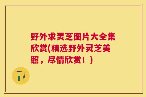 野外求灵芝图片大全集欣赏(精选野外灵芝美照，尽情欣赏！)