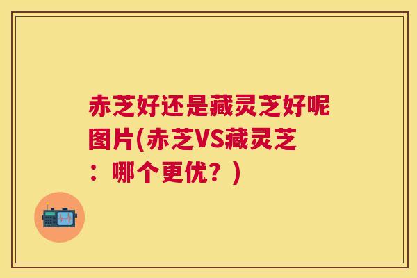 赤芝好还是藏灵芝好呢图片(赤芝VS藏灵芝：哪个更优？)