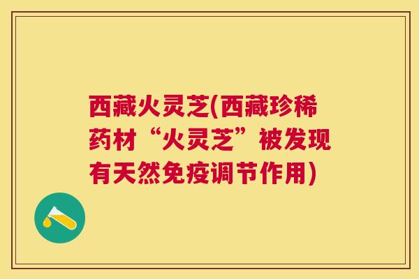 西藏火灵芝(西藏珍稀药材“火灵芝”被发现有天然免疫调节作用)