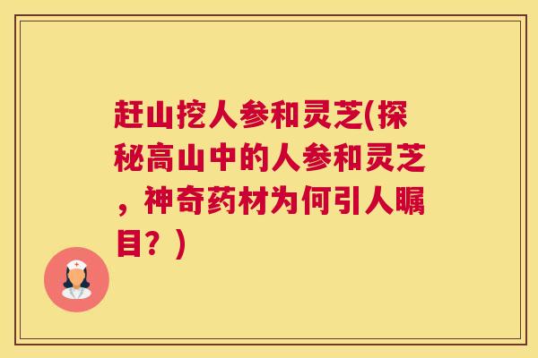 赶山挖人参和灵芝(探秘高山中的人参和灵芝，神奇药材为何引人瞩目？)