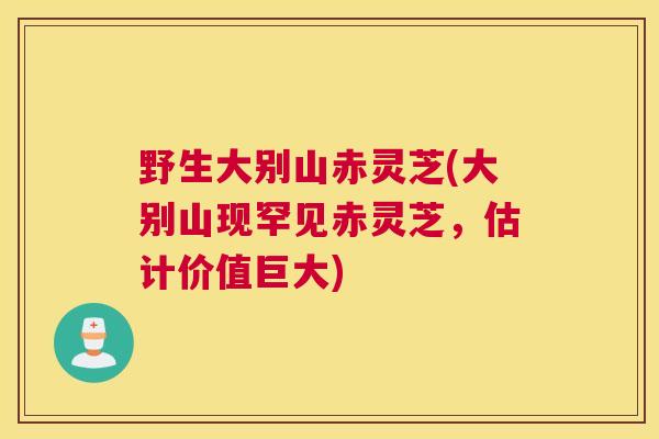 野生大别山赤灵芝(大别山现罕见赤灵芝，估计价值巨大)