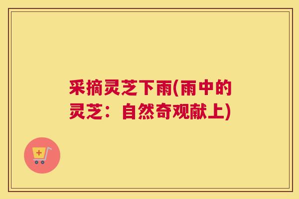 采摘灵芝下雨(雨中的灵芝：自然奇观献上)