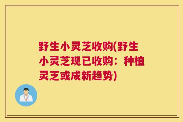 野生小灵芝收购(野生小灵芝现已收购：种植灵芝或成新趋势)