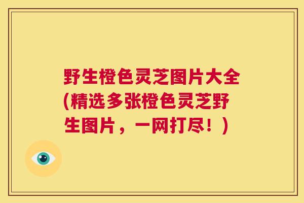 野生橙色灵芝图片大全(精选多张橙色灵芝野生图片，一网打尽！)