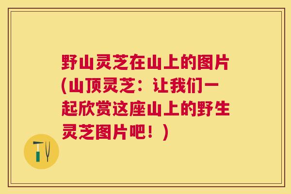 野山灵芝在山上的图片(山顶灵芝：让我们一起欣赏这座山上的野生灵芝图片吧！)