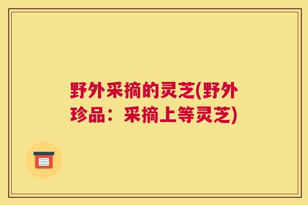 野外采摘的灵芝(野外珍品：采摘上等灵芝)