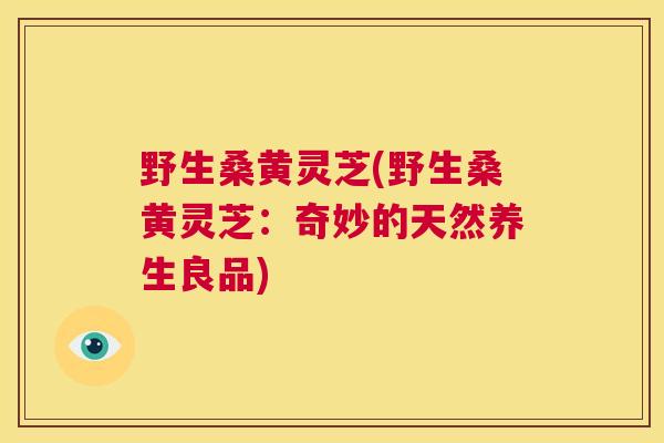 野生桑黄灵芝(野生桑黄灵芝：奇妙的天然养生良品)