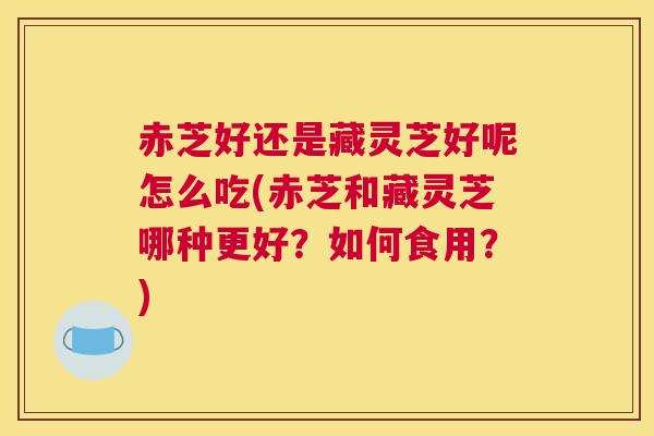 赤芝好还是藏灵芝好呢怎么吃(赤芝和藏灵芝哪种更好？如何食用？)