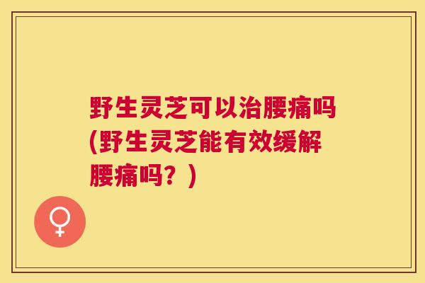 野生灵芝可以治腰痛吗(野生灵芝能有效缓解腰痛吗？)