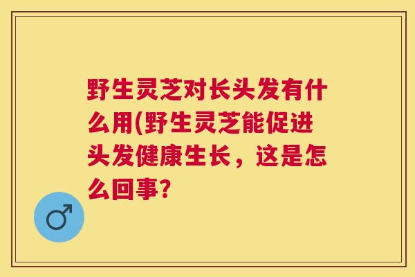 野生灵芝对长头发有什么用(野生灵芝能促进头发健康生长，这是怎么回事？