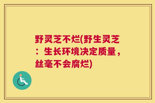 野灵芝不烂(野生灵芝：生长环境决定质量，丝毫不会腐烂)