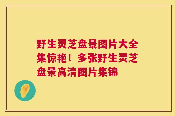 野生灵芝盘景图片大全集惊艳!多张野生灵芝盘景高清图片集锦 野生灵芝盘景图片大全集惊艳!多张野生灵芝盘景高清图片集锦