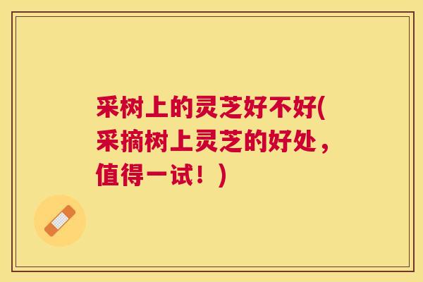 采树上的灵芝好不好(采摘树上灵芝的好处，值得一试！)