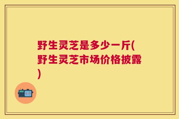 野生灵芝是多少一斤(野生灵芝市场价格披露)