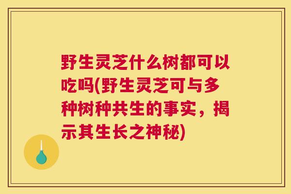 野生灵芝什么树都可以吃吗(野生灵芝可与多种树种共生的事实,揭示其生长之神秘) 野生灵芝什么树都可以吃吗(野生灵芝可与多种树种共生的事实,揭示其生长之神秘)