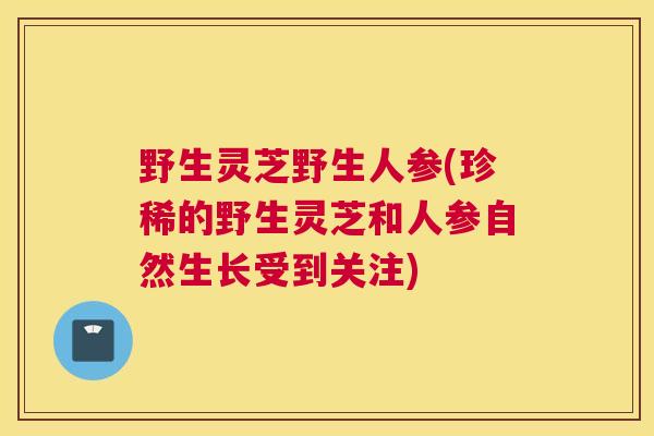野生灵芝野生人参(珍稀的野生灵芝和人参自然生长受到关注)