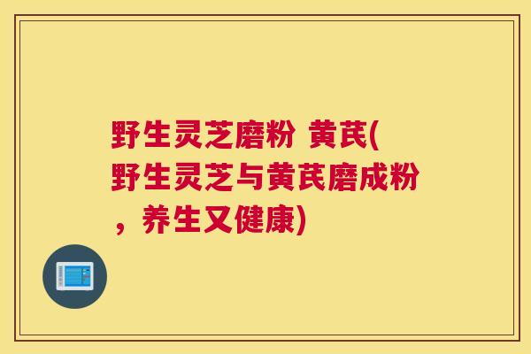 野生灵芝磨粉 黄芪(野生灵芝与黄芪磨成粉，养生又健康)
