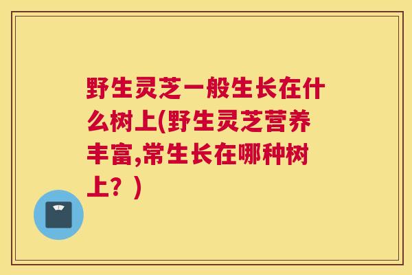 野生灵芝一般生长在什么树上(野生灵芝营养丰富,常生长在哪种树上？)