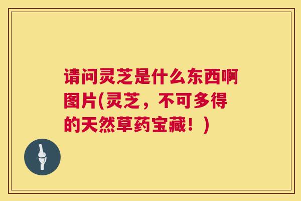 请问灵芝是什么东西啊图片(灵芝，不可多得的天然草药宝藏！)