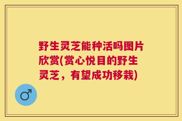 野生灵芝能种活吗图片欣赏(赏心悦目的野生灵芝，有望成功移栽)