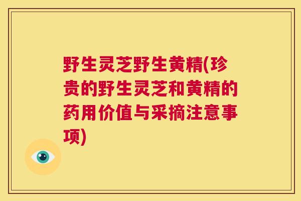 野生灵芝野生黄精(珍贵的野生灵芝和黄精的药用价值与采摘注意事项)