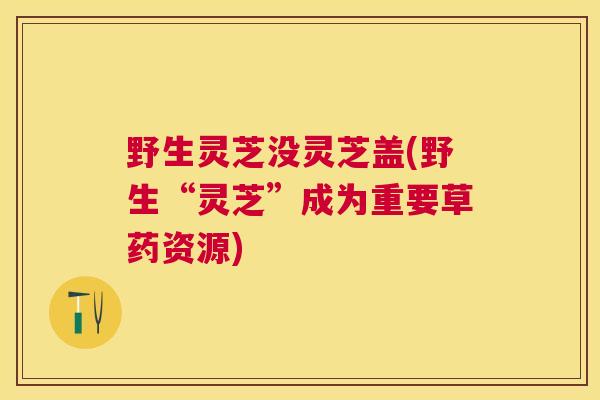 野生灵芝没灵芝盖(野生“灵芝”成为重要草药资源)