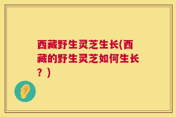 西藏野生灵芝生长(西藏的野生灵芝如何生长？)