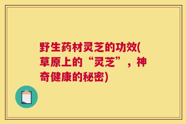 野生药材灵芝的功效(草原上的“灵芝”，神奇健康的秘密)