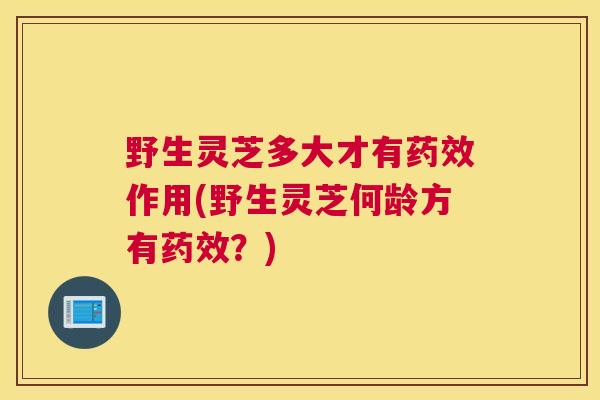 野生灵芝多大才有药效作用(野生灵芝何龄方有药效？)