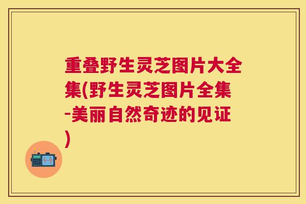重叠野生灵芝图片大全集(野生灵芝图片全集-美丽自然奇迹的见证)